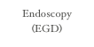 Endoscopy (EGD)